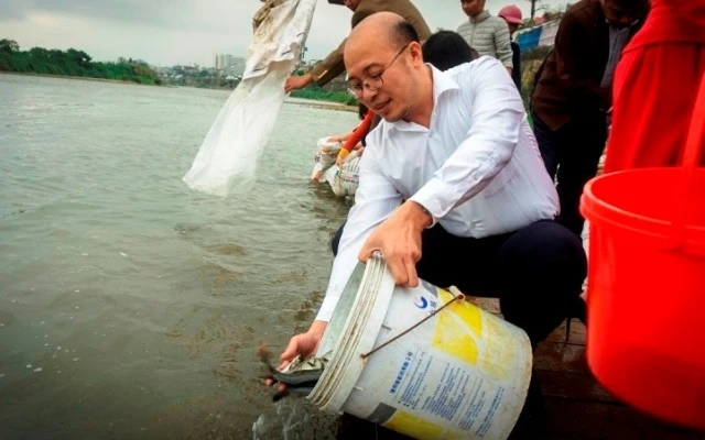 Người dân TP Lào Cai thả cá giống xuống sông Hồng, nhân ngày “Tết ông Công, ông Táo”.