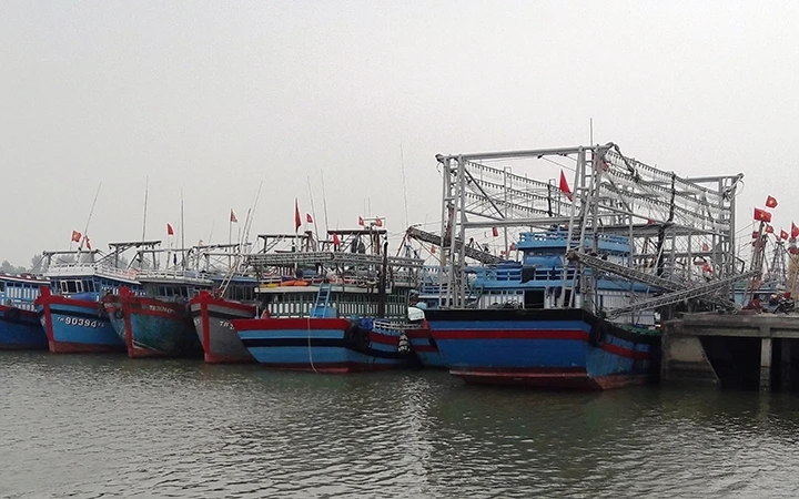 Nhiều “tàu 67” neo đậu tại Cảng Hới, phường Quảng Tiến, TP Sầm Sơn (Thanh Hóa) do khai thác không hiệu quả.