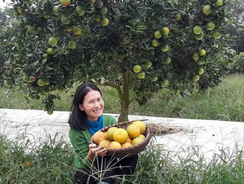 Lê Na là người trồng cây ăn quả đầu tiên của Nghệ An áp dụng thành công mô hình VietGAP.