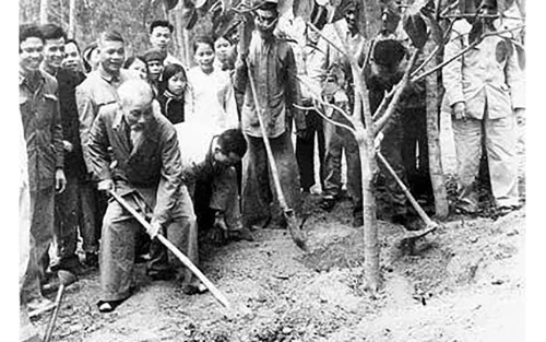 Chủ tịch Hồ Chí Minh trồng cây đa lưu niệm trên đồi cây của xã Vật Lại, huyện Ba Vì, tỉnh Hà Tây (nay là Hà Nội), sáng 16-2-1969 (mồng 1 Tết), mở đầu Tết trồng cây Xuân Kỷ Dậu. Ảnh tư liệu