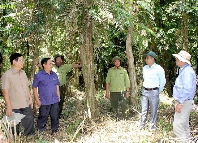 Tổng cục kiểm lâm kiểm tra công tác phòng cháy rừng ở Vườn Quốc gia U Minh hạ.
