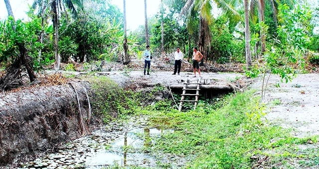 Ao đìa trữ nước ngọt ở miệt rừng Cà Mau khô cạn vì hạn hán.