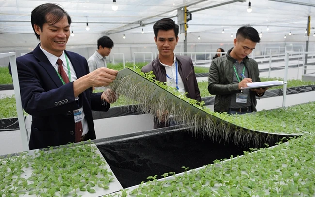 Mô hình trồng khoai tây sạch, ứng dụng công nghệ cao tại Viện Sinh học nông nghiệp (Học viện Nông nghiệp Việt Nam)