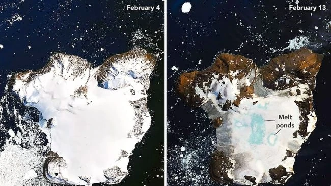 Đảo Eagle của Nam Cực vào ngày 4 và 13-2. Ảnh: NASA.