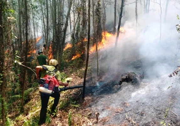 Nguy cơ cao xảy ra cháy rừng ở Nam Bộ do nắng nóng
