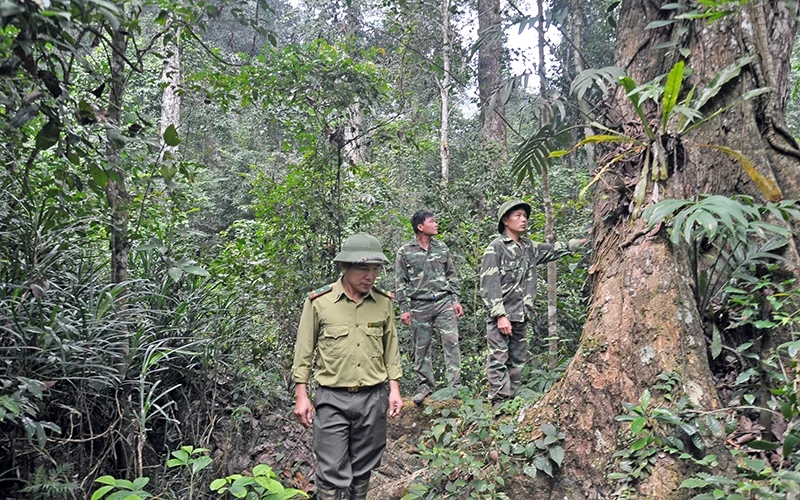 Cán bộ kiểm lâm rừng đặc dụng Na Hang tuần tra, bảo vệ rừng.