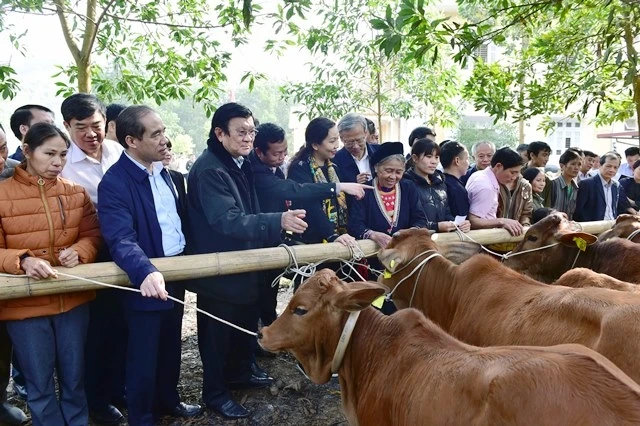 Đồng chí Trương Tấn Sang trao tặng bò giống cho các hộ nghèo, gia đình chính sách tại xã Lương Thiện, huyện Sơn Dương, tỉnh Tuyên Quang.