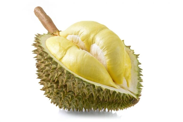 Trái sầu riêng được mệnh danh là vua của các loại trái cây ở Việt Nam và một số nước Đông Nam Á.