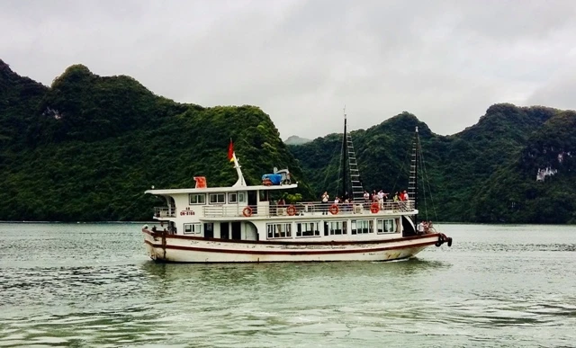 Tàu du lịch trên vịnh Lan Hạ (Cát Bà).