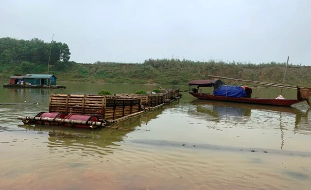 Lồng nuôi cá trên sông Chu của nhân dân ở huyện Thọ Xuân 