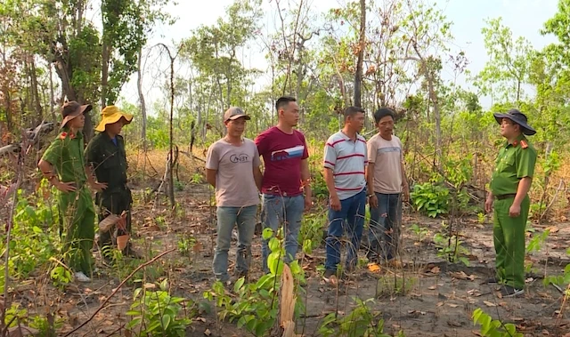 Công an huyện Ea Súp đưa các đối tượng phá rừng ra kiểm tra tại hiện trường vụ phá rừng lấn chiếm đất sản xuất.