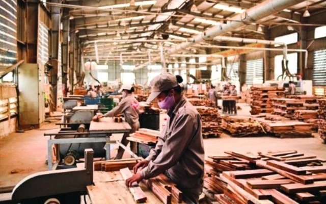 Các doanh nghiệp gỗ lao đao trước diễn biến dịch bệnh.