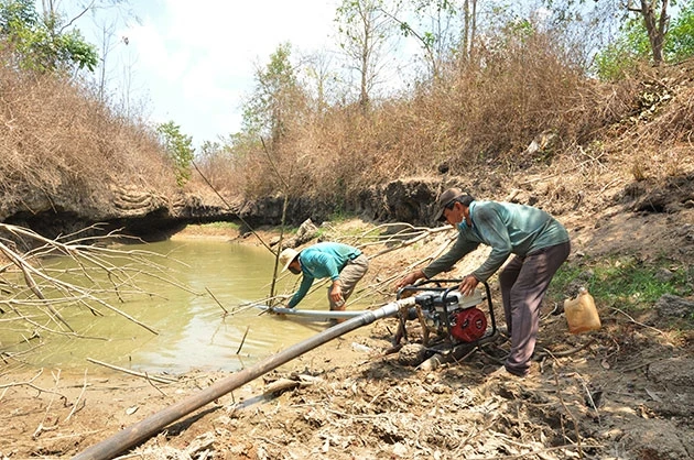 Nông dân xã Thanh Lương, thị xã Bình Long cố gắng rút những khối nước cuối cùng để cứu vườn cây.
