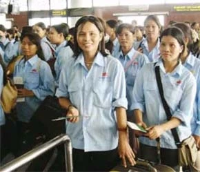 Theo số liệu thống kê của Bộ Lao động Australia, năm 2006 đã có 460 lao động Việt Nam được tiếp nhận làm việc tại đây.