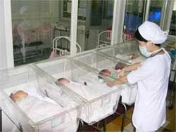 Tỷ lệ tăng dân số Việt Nam là 1,33%
