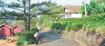 Khu làng phong Di Linh