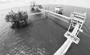 Liên doanh Vietsovpetro khai thác dầu ở mỏ Bạch hổ.