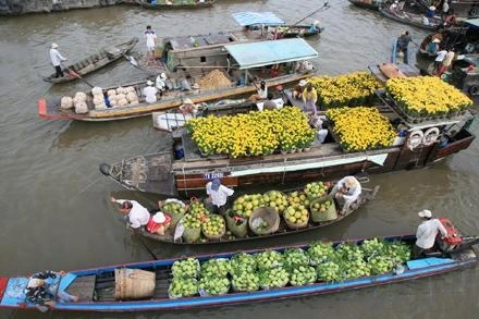 Người dân miệt vườn Cần Thơ mua bán trái cây tại chợ nổi Phụng Hiệp.